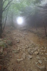 Salendo al M. Gottero ... uscita dal tunnel!