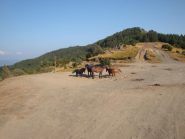 p.so del Bocco di Bargone, mezzi di scorta