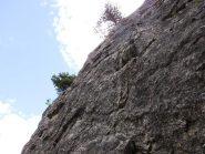primo settore