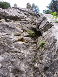 settore d n° 18 (5b)