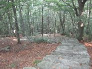 Parte della scalinata di accesso