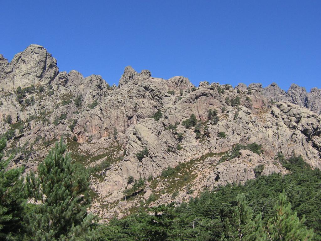 i settori da sx a dx