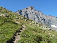 il sentiero per la Ciamarella: sempre diritto....