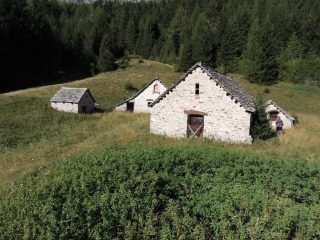 l'alpe Crosi a 1662 metri rientrando a San Domenico