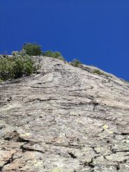 le placche superiori