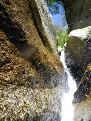 Stettoia dal basso