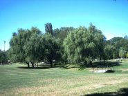 paco della pellerina