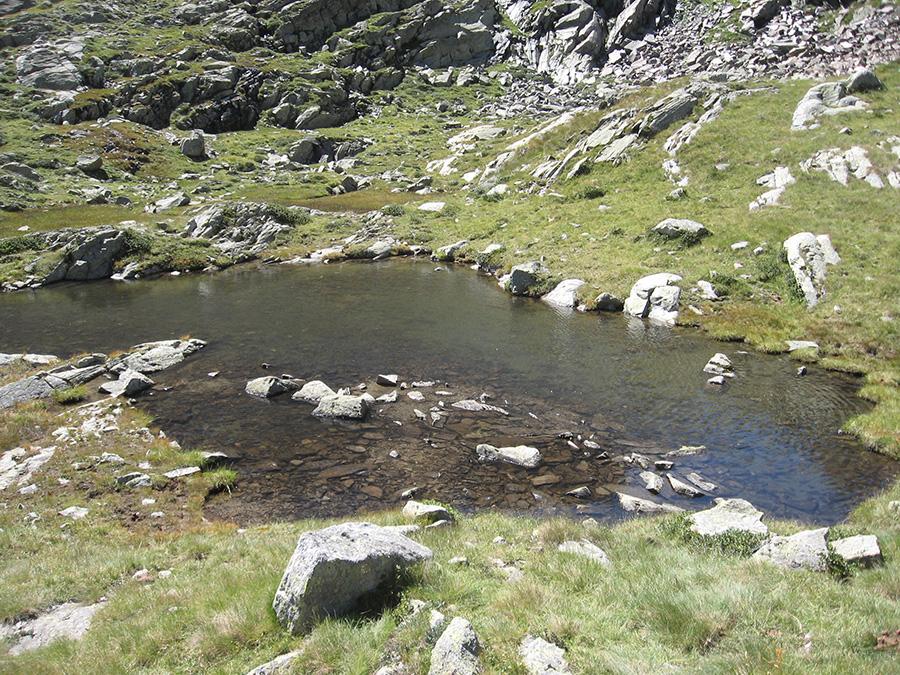 Quinto laghetto del Torrazzo