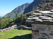 vasinetto e al centro la punta delle tole reverse