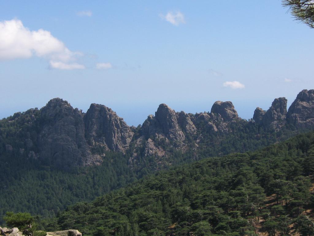 Punta Caletta  al centro