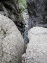 Vista da sopra la C25