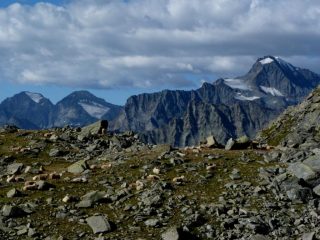 Ciamarella, Arnas, Croce Rossa