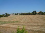 sulle colline Mantovane