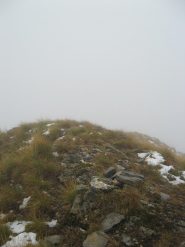 in cima