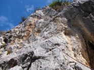 il caimano, 5b
