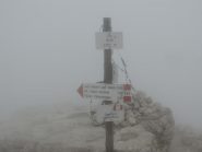 in cima