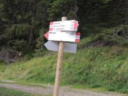 primo bivio