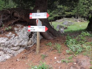 inizio percorso