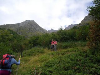 immersi nella fitta vegetazione cercando il percorso migliore...