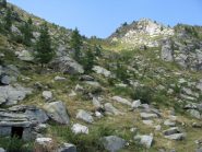 Il Col Brignon, dalle baite Le Give inferiori