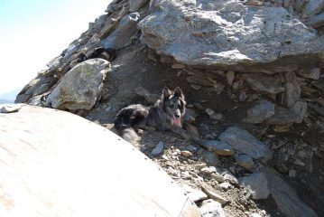 Frank al Bivacco Hess