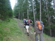 Partenza dentro la pineta