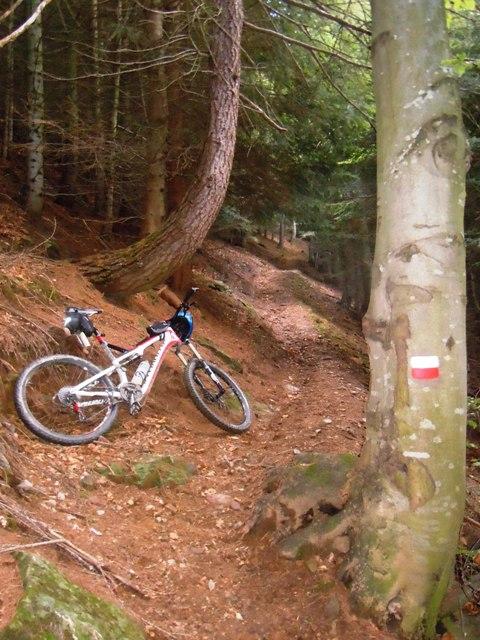 sentiero a quota 1580