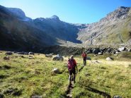 Alpe Scaradra di Sopra
