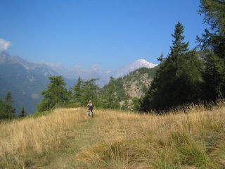 Sullo sfondo il Bianco.. 