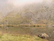 Laghetto del Civrari