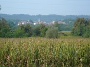 Cossano