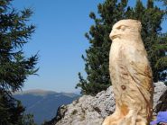 avvistata aquila........