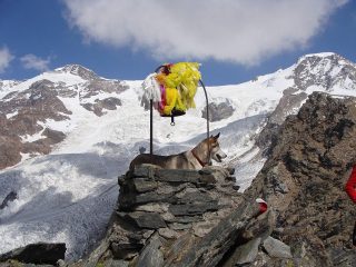 la campana di vetta con i suoi addobbi