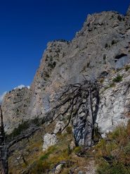 i segni del disastro