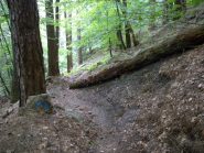 Discesa sulla Cappella del Bozale