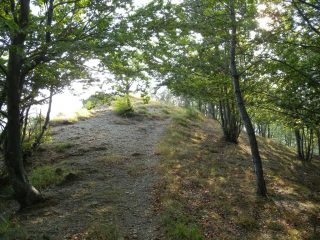 Tratti di sali-sali verso la Forcella
