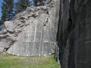 primo settore