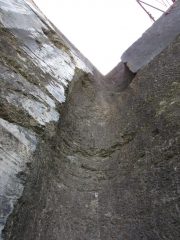 diedro gambelli