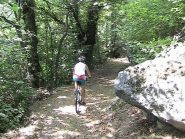 Il sentiero verso Camparnaldo