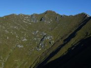 le cime delle chiose
