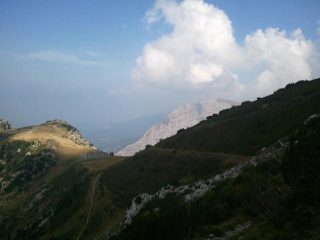 quasi al passo