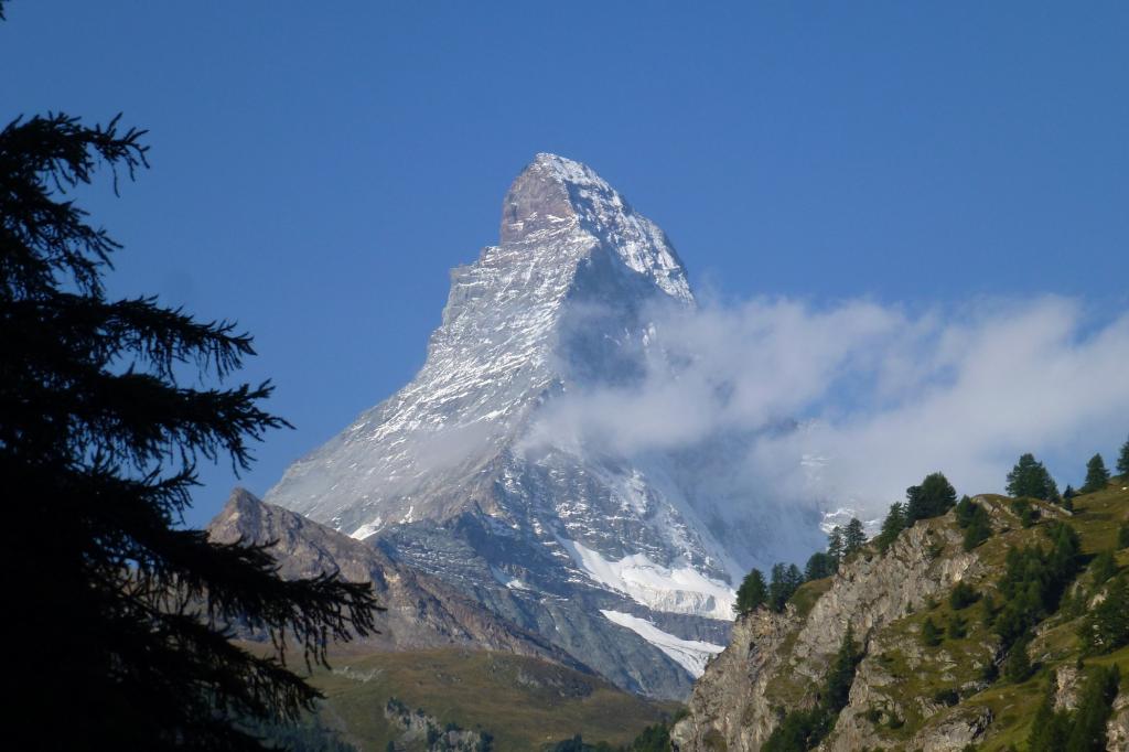 Maestoso Cervino 