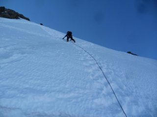 Corno nero