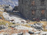 06 - stambecchi al Lago della Rossa