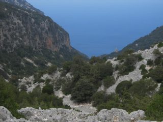 Cala Goloritzè da Su Porteddu.