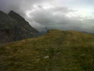 in vetta alla cima bosco