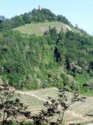 La cappella di San Servasio sulla collina che fronteggia il Sentiero