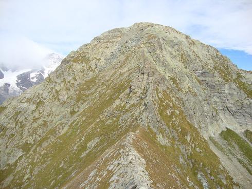 Dal dosso Grinner veduta m. Tagliaferro