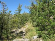 tratto di sentiero con la cima sullo sfondo