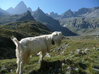 Verso i piani della Muanda
